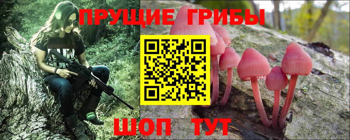 Псилоцибиновые грибы Cubensis  Псилоцибиновые грибы GOLDEN TEACHER  Вход с VPN  Лениногорск 